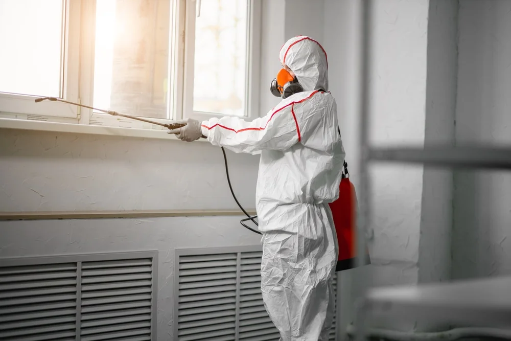 Professional mold remediation services in Dundee, FL